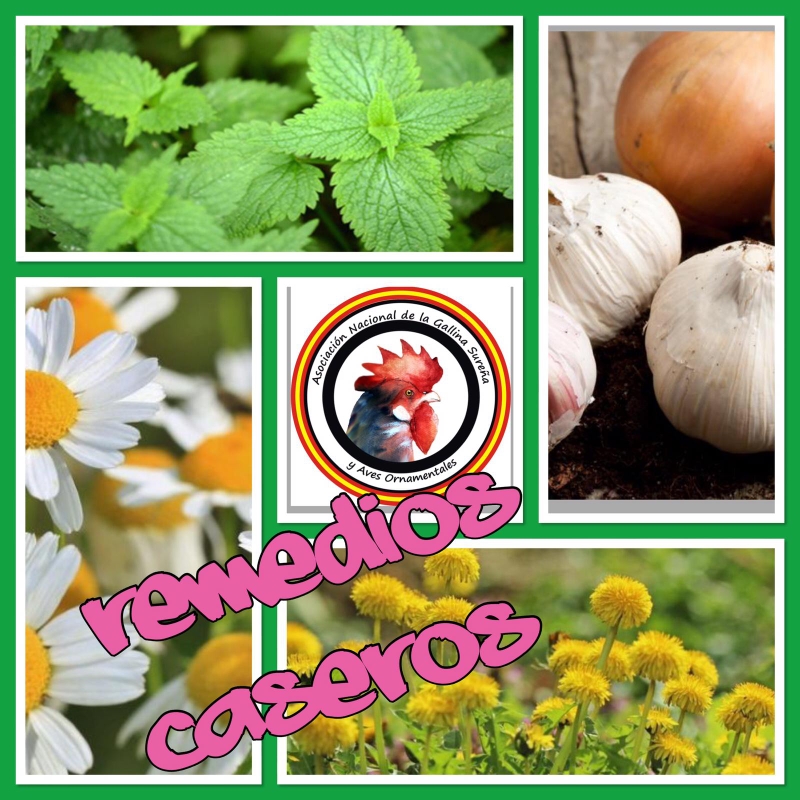 Tablas de marcas para criadores